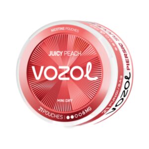 VOZOL POUCH - Juicy Peach - 6MG