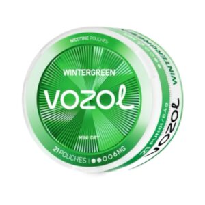 VOZOL POUCH - WinterGreen - 6MG