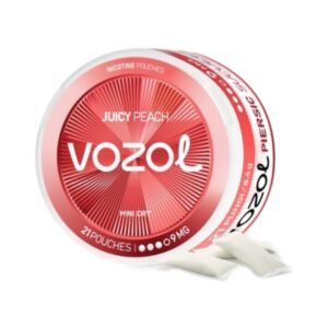 VOZOL POUCH - Juicy Peach - 9MG