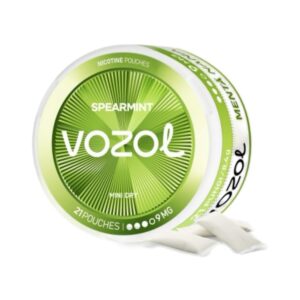 VOZOL POUCH - Spearmint - 9MG