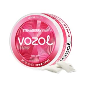 VOZOL POUCH - Strawberry Kiwi - 9MG