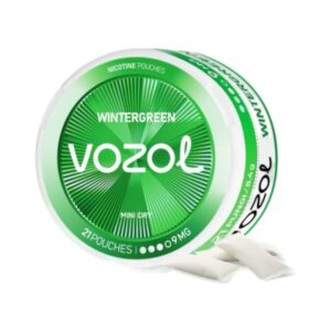 VOZOL POUCH - Wintergreen - 9MG